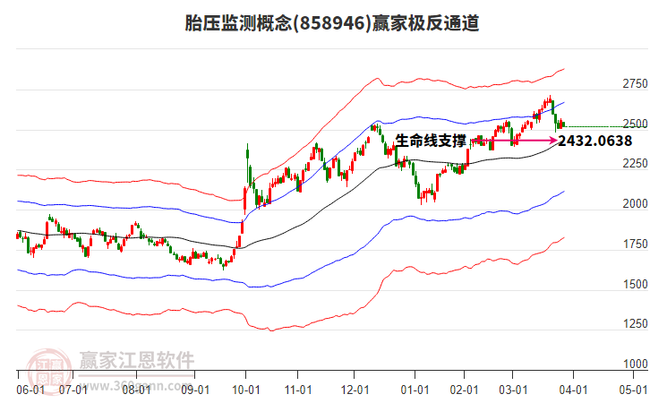 858946胎壓監(jiān)測贏家極反通道工具