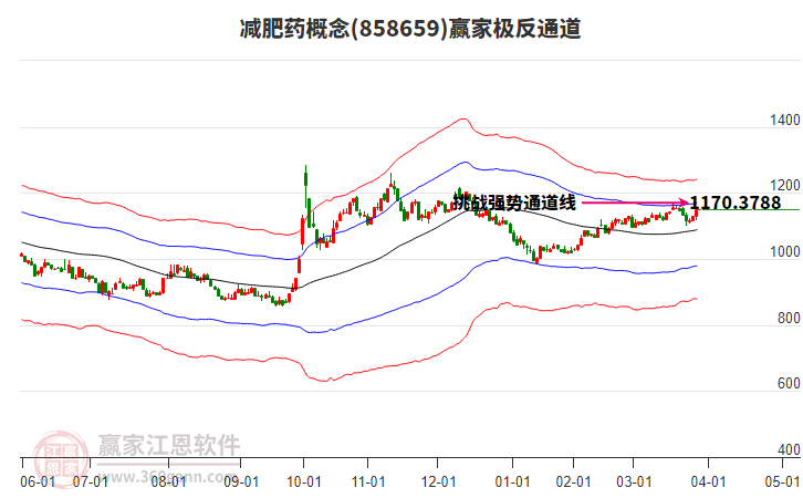 858659減肥藥贏家極反通道工具