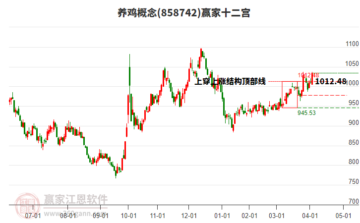 858742養(yǎng)雞贏家十二宮工具 858742養(yǎng)雞贏家十二宮工具