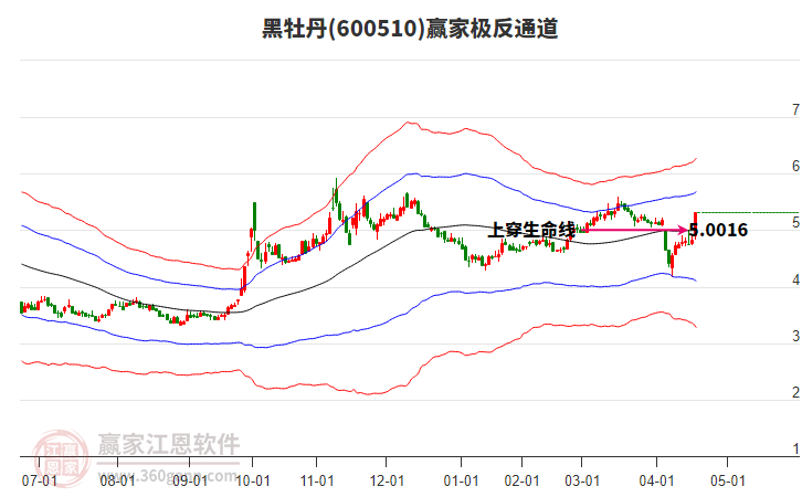 600510黑牡丹贏家極反通道工具