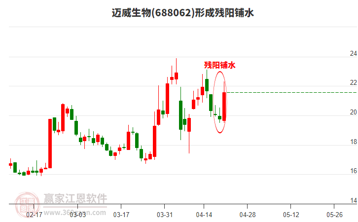 邁威生物形成殘陽鋪水形態(tài)
