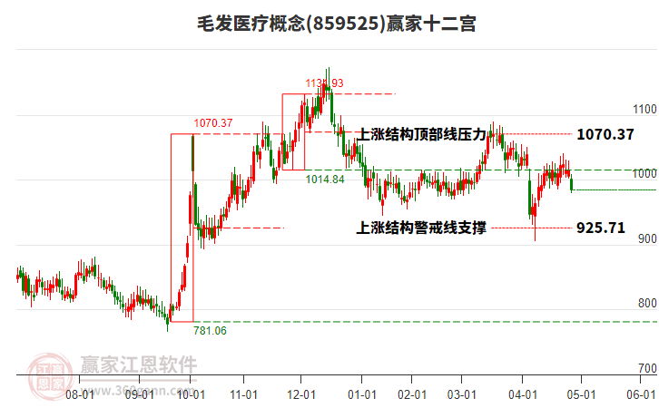 859525毛發(fā)醫(yī)療贏家十二宮工具 859525毛發(fā)醫(yī)療贏家十二宮工具