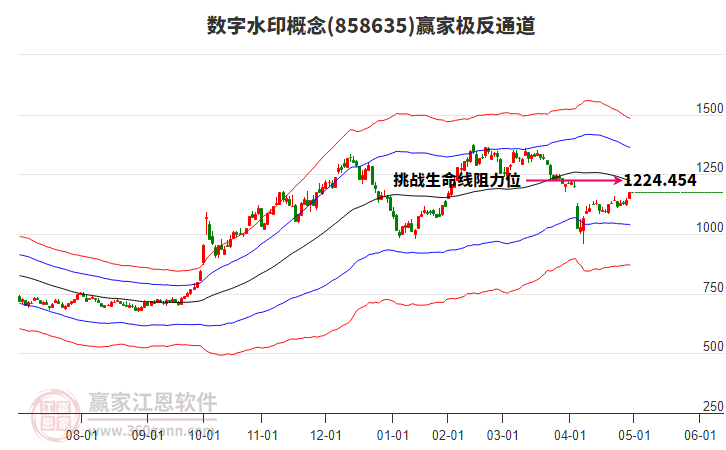 858635數(shù)字水印贏家極反通道工具