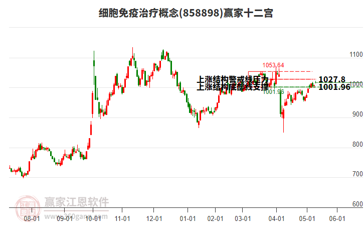 858898細胞免疫治療贏家十二宮工具