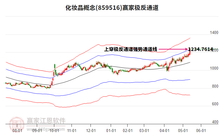 859516化妝品贏家極反通道工具
