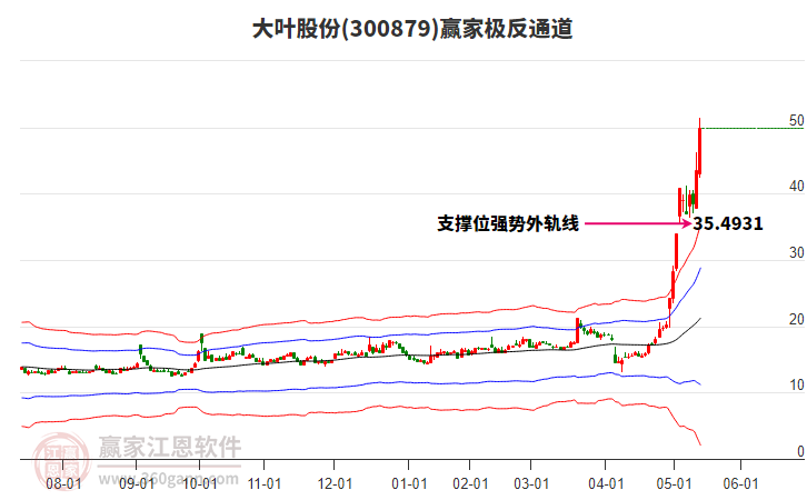 300879大葉股份贏家極反通道工具 300879大葉股份贏家極反通道工具