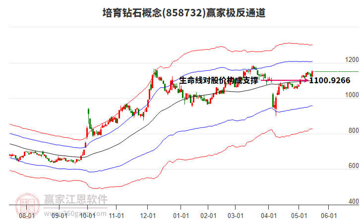 858732培育钻石赢家极反通道工具