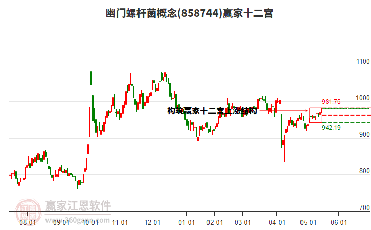 858744幽門螺桿菌贏家十二宮工具 858744幽門螺桿菌贏家十二宮工具