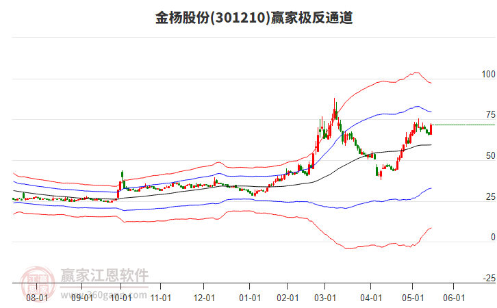 301210金楊股份贏家極反通道工具