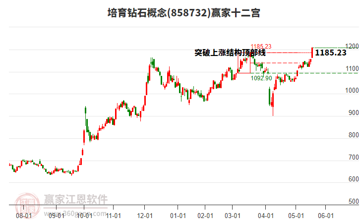 858732培育鉆石贏家十二宮工具
