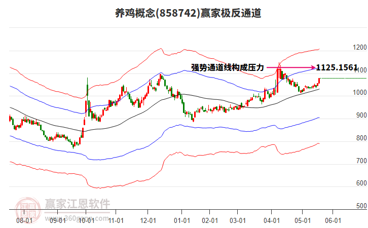 858742養(yǎng)雞贏家極反通道工具