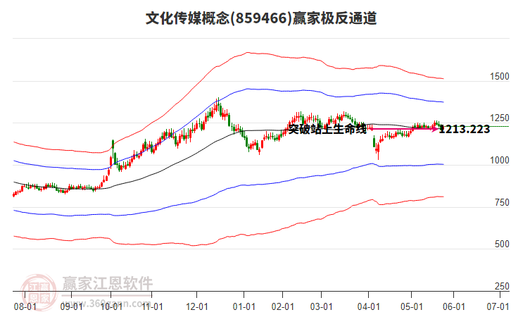 859466文化傳媒贏家極反通道工具 859466文化傳媒贏家極反通道工具