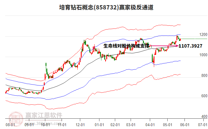 858732培育鉆石贏家極反通道工具