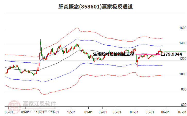 858601肝炎贏家極反通道工具