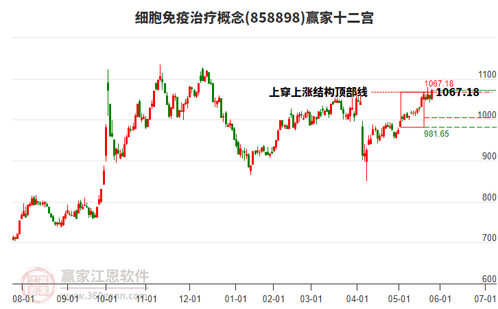 858898細胞免疫治療贏家十二宮工具