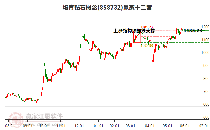 858732培育钻石赢家十二宫工具