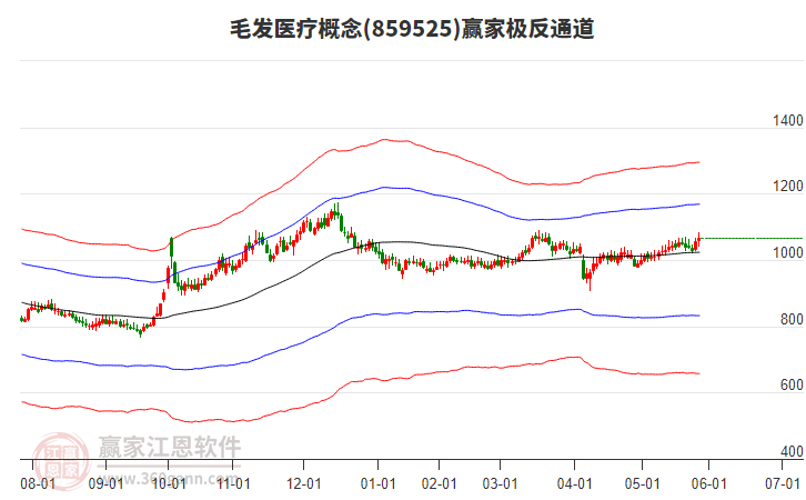 859525毛發(fā)醫(yī)療贏家極反通道工具