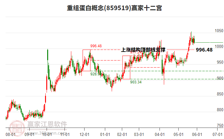 859519重組蛋白贏家十二宮工具 859519重組蛋白贏家十二宮工具
