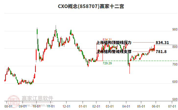 858707CXO贏家十二宮工具 858707CXO贏家十二宮工具