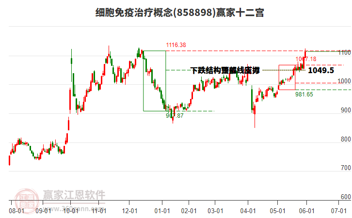 858898細(xì)胞免疫治療贏家十二宮工具