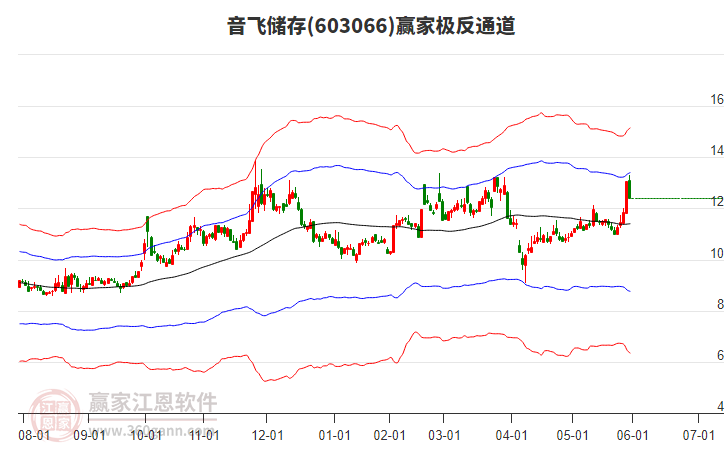 603066音飛儲(chǔ)存贏家極反通道工具