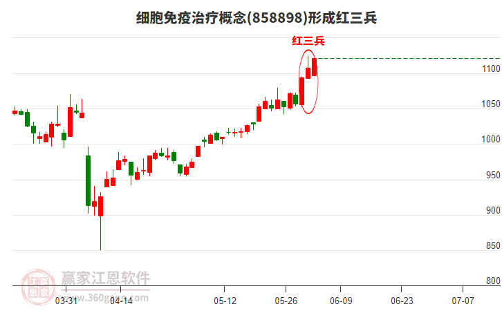 細(xì)胞免疫治療形成頂部紅三兵形態(tài)