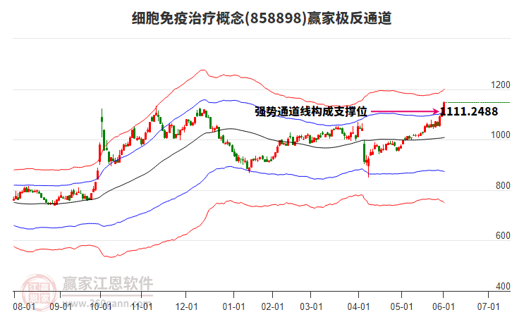 858898細(xì)胞免疫治療贏家極反通道工具 858898細(xì)胞免疫治療贏家極反通道工具