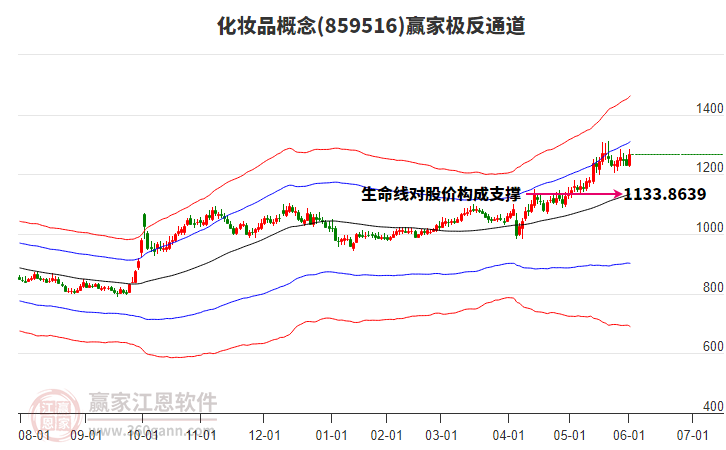859516化妝品贏家極反通道工具