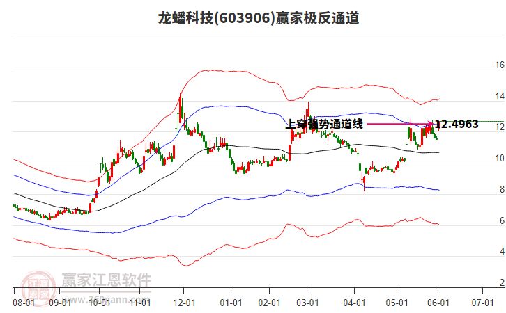 603906龍蟠科技贏家極反通道工具