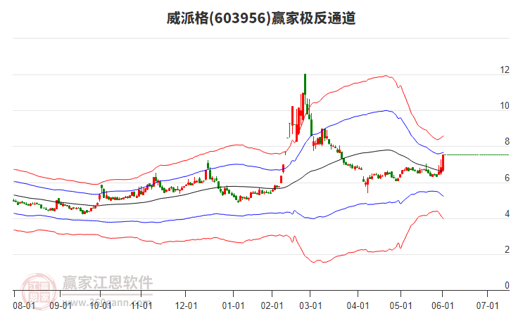 603956威派格贏家極反通道工具