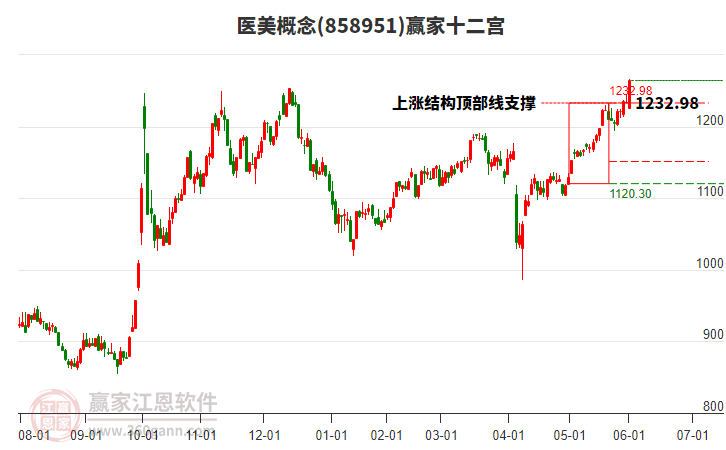 858951醫(yī)美贏家十二宮工具