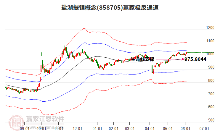 858705鹽湖提鋰贏家極反通道工具