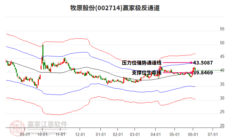 002714牧原股份贏家極反通道工具