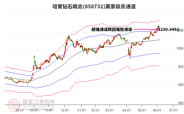 858732培育鉆石贏家極反通道工具