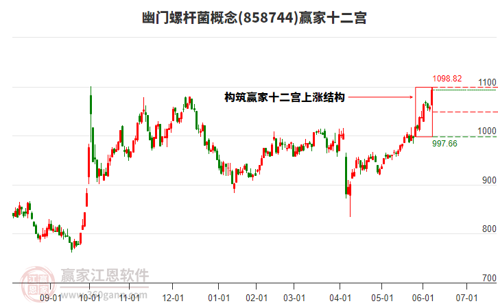 858744幽門螺桿菌贏家十二宮工具