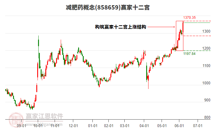 858659減肥藥贏家十二宮工具