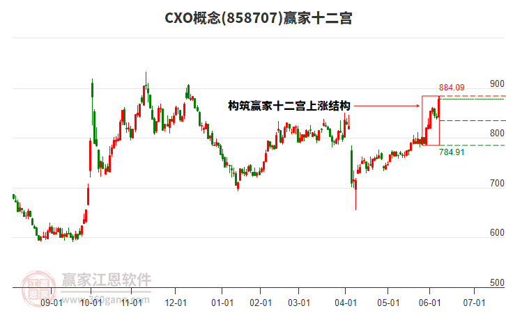 858707CXO贏家十二宮工具 858707CXO贏家十二宮工具