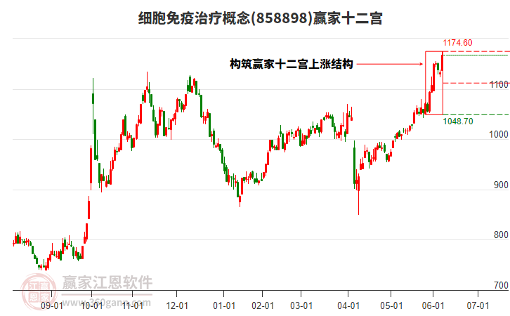 858898細胞免疫治療贏家十二宮工具