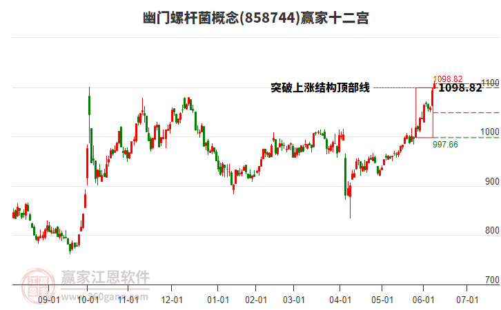 858744幽門(mén)螺桿菌贏家十二宮工具