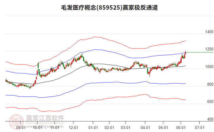 859525毛發(fā)醫(yī)療贏家極反通道工具