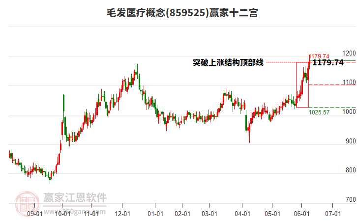 859525毛發(fā)醫(yī)療贏家十二宮工具