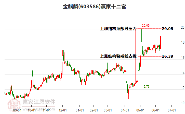 603586金麒麟贏家十二宮工具