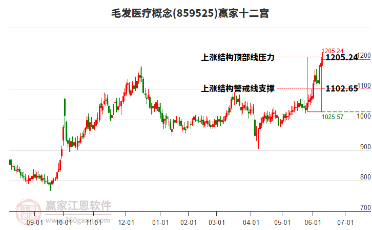 859525毛發(fā)醫(yī)療贏家十二宮工具