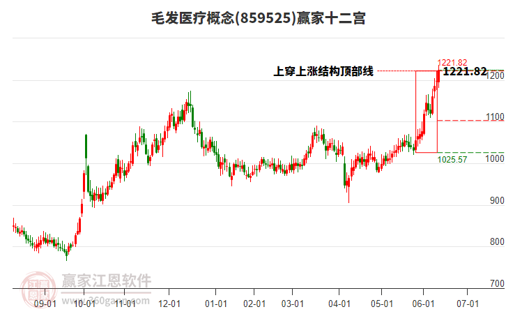 859525毛發(fā)醫(yī)療贏家十二宮工具