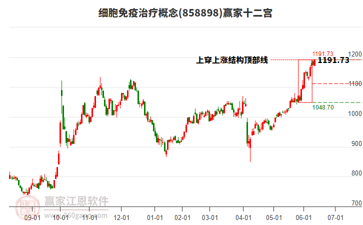 858898細(xì)胞免疫治療贏家十二宮工具