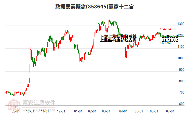 858645數據要素贏家十二宮工具