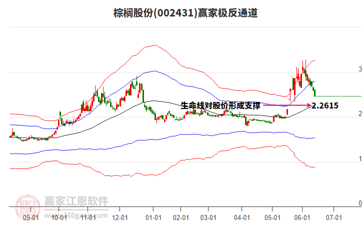 002431棕櫚股份贏家極反通道工具