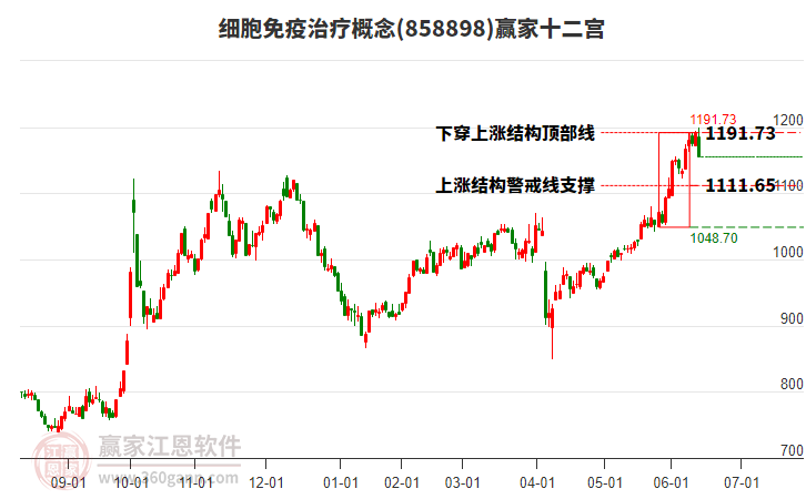 858898細(xì)胞免疫治療贏家十二宮工具 858898細(xì)胞免疫治療贏家十二宮工具