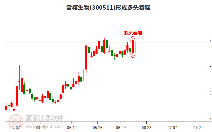 300511雪榕生物形成陽(yáng)包陰組合形態(tài)