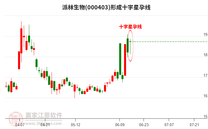 派林生物形成十字星孕線形態(tài)